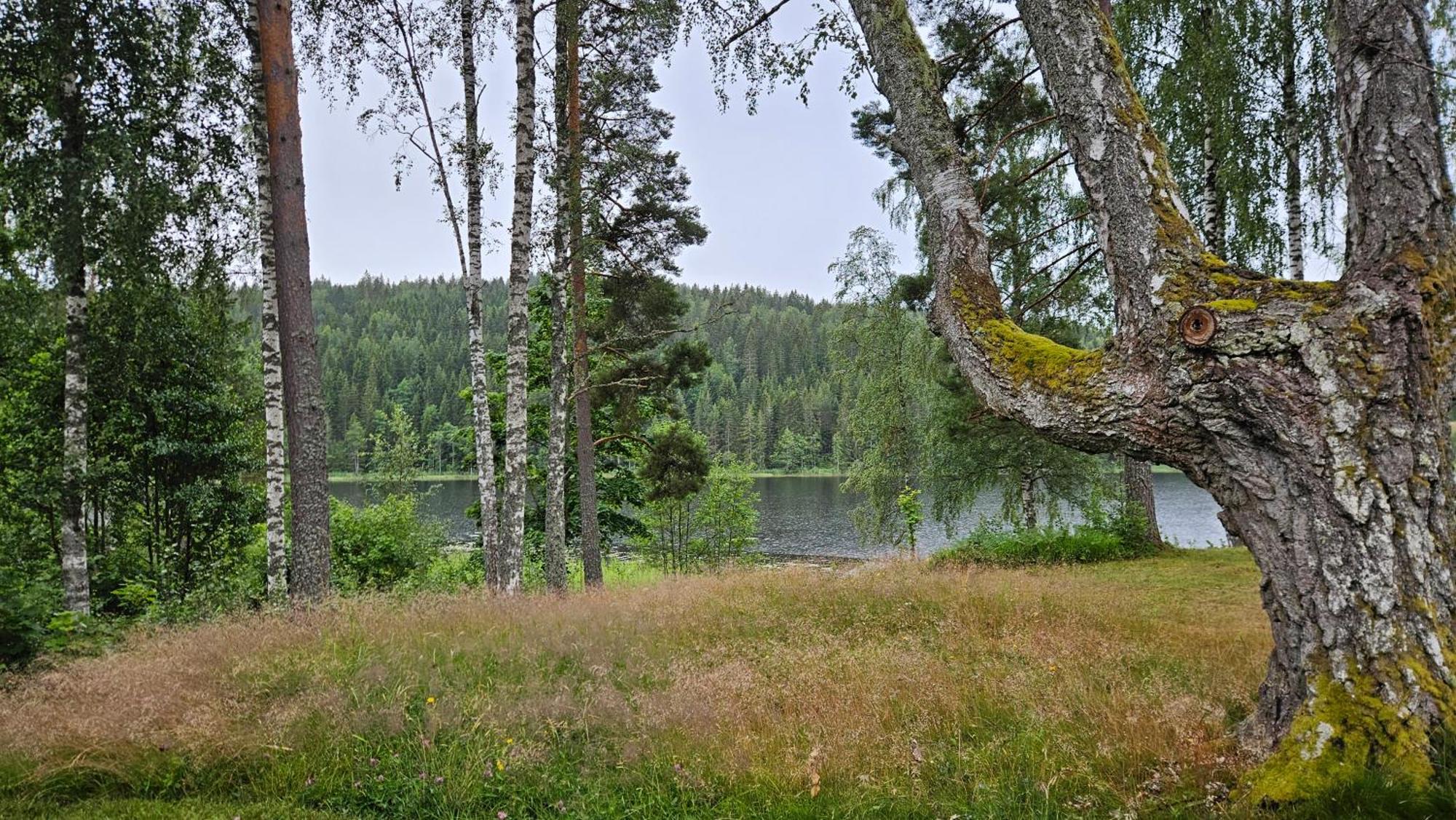 Kilsborgs Gard - Lakehouse Svanskog Kültér fotó